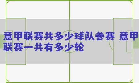 意甲联赛共多少球队参赛，意甲联赛一共有多少轮