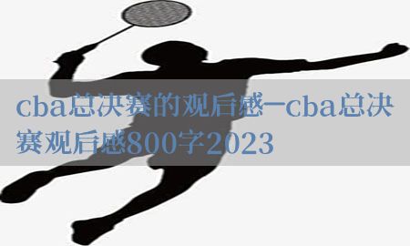 cba总决赛的观后感-cba总决赛观后感800字2023