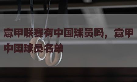 意甲联赛有中国球员吗，意甲中国球员名单