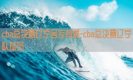 cba总决赛辽宁舍友有谁-cba总决赛辽宁队球员