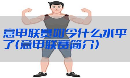 意甲联赛如今什么水平了（意甲联赛简介）