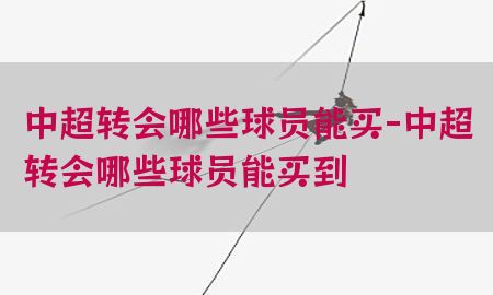 中超转会哪些球员能买-中超转会哪些球员能买到