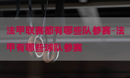 法甲联赛都有哪些队参赛-法甲有哪些球队参赛