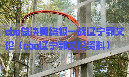 cba总决赛终极一战辽宁郭艾伦（cba辽宁郭艾伦资料）