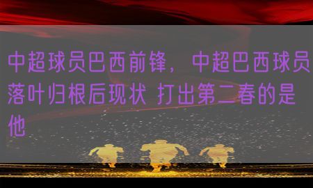 中超球员巴西前锋，中超巴西球员落叶归根后现状 打出第二春的是他