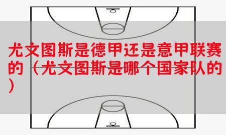 尤文图斯是德甲还是意甲联赛的（尤文图斯是哪个国家队的）