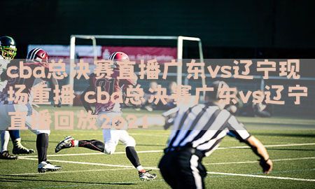 cba总决赛直播广东vs辽宁现场重播（cba总决赛广东vs辽宁直播回放2021）