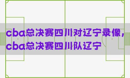 cba总决赛四川对辽宁录像，cba总决赛四川队辽宁