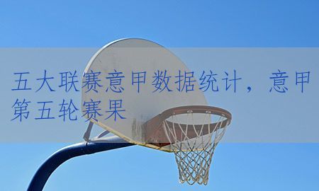 五大联赛意甲数据统计，意甲第五轮赛果