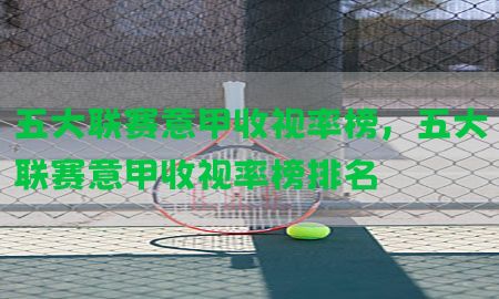 五大联赛意甲收视率榜，五大联赛意甲收视率榜排名