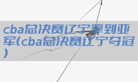 cba总决赛辽宁拿到亚军（cba总决赛辽宁夺冠）