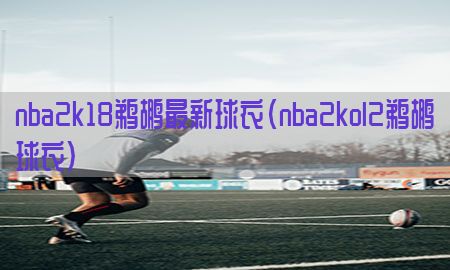 nba2k18鹈鹕最新球衣（nba2kol2鹈鹕球衣）