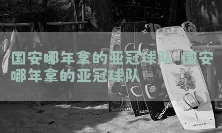 国安哪年拿的亚冠球队-国安哪年拿的亚冠球队