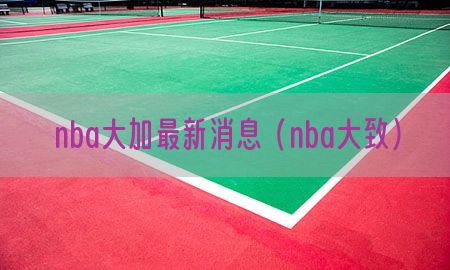 nba大加最新消息（nba大致）