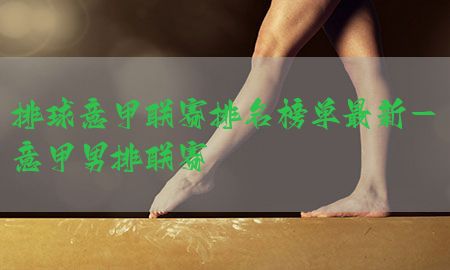 排球意甲联赛排名榜单最新-意甲男排联赛