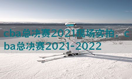 cba总决赛2021现场实拍，cba总决赛2021-2022