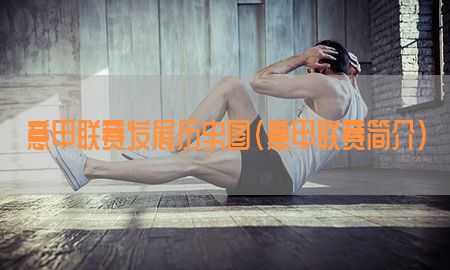 意甲联赛发展历史图（意甲联赛简介）