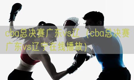 cba总决赛广东vs辽（cba总决赛广东vs辽宁在线播放）